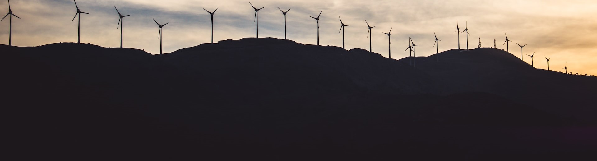 Agriculture and Agribusiness